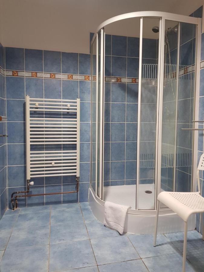 Pension Elektra Mariánské Lázně Exteriör bild